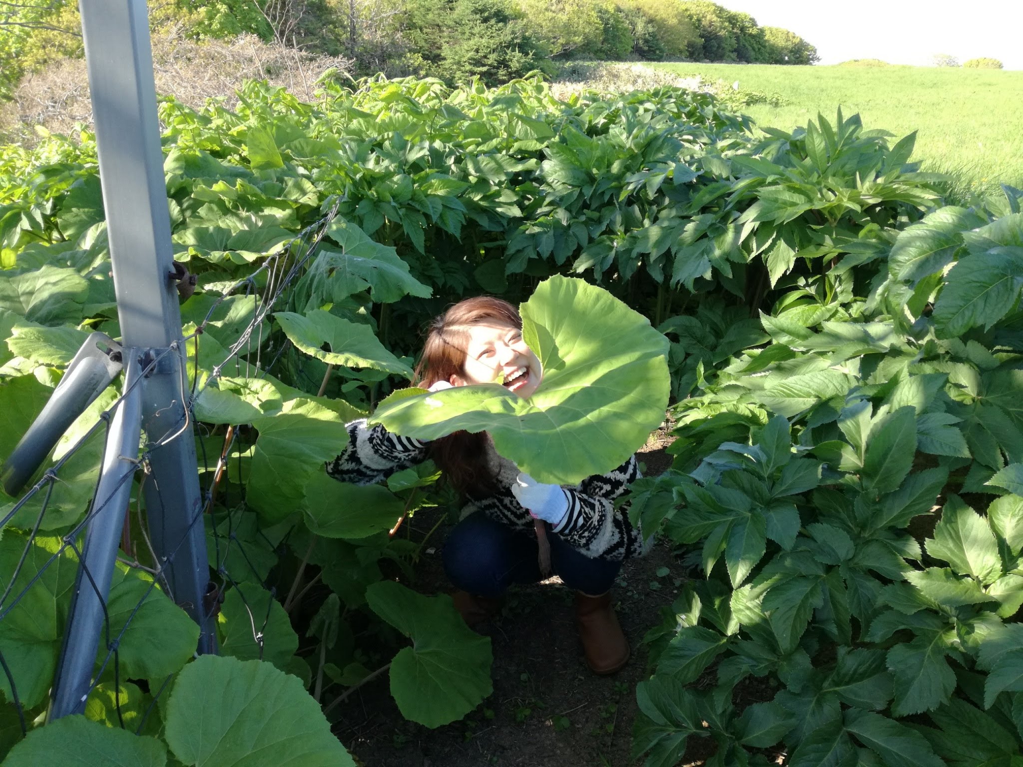 おかみ